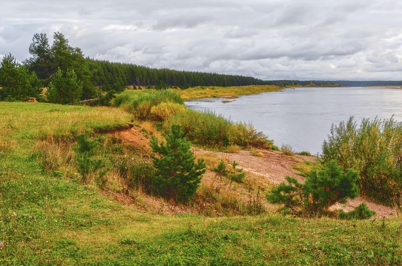 осень сентябрь река пинега вода берег деревья кусты трава небо пасмурно Настроение - осень...photo preview