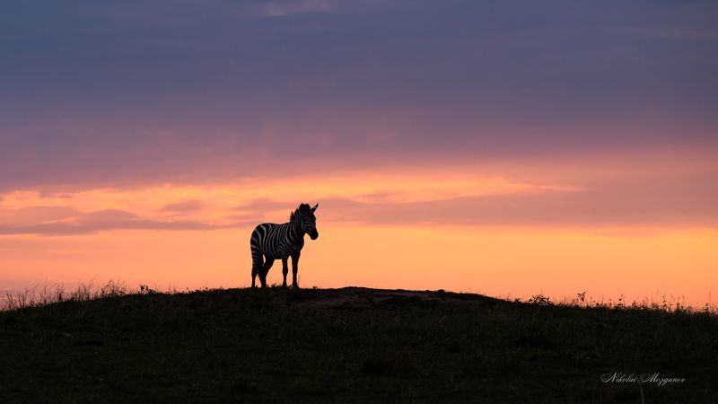 Восходы - Закаты Африки...photo preview