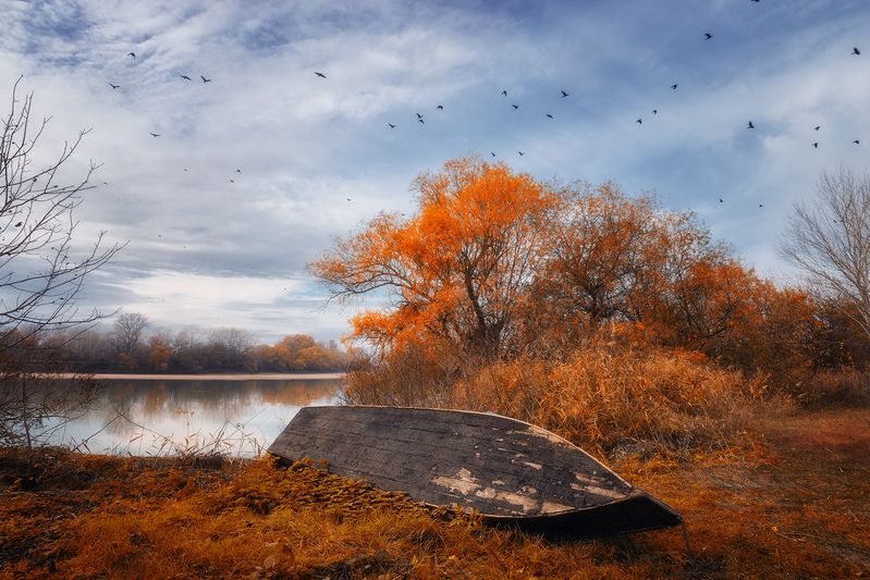 У реки Кубаньphoto preview