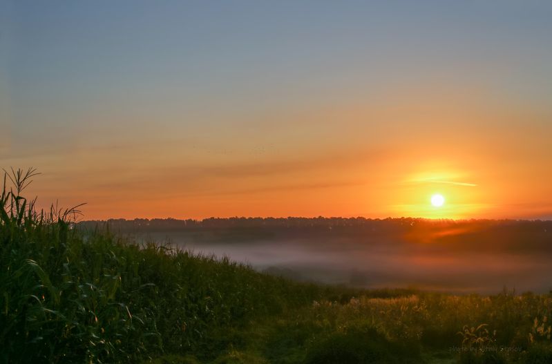 рассвет, туман, восход, тульская область Новый день..photo preview