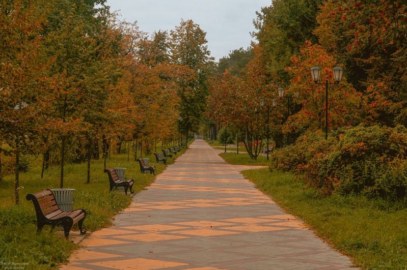 природа, пейзаж, осень, autumn, nature, landscape ***photo preview