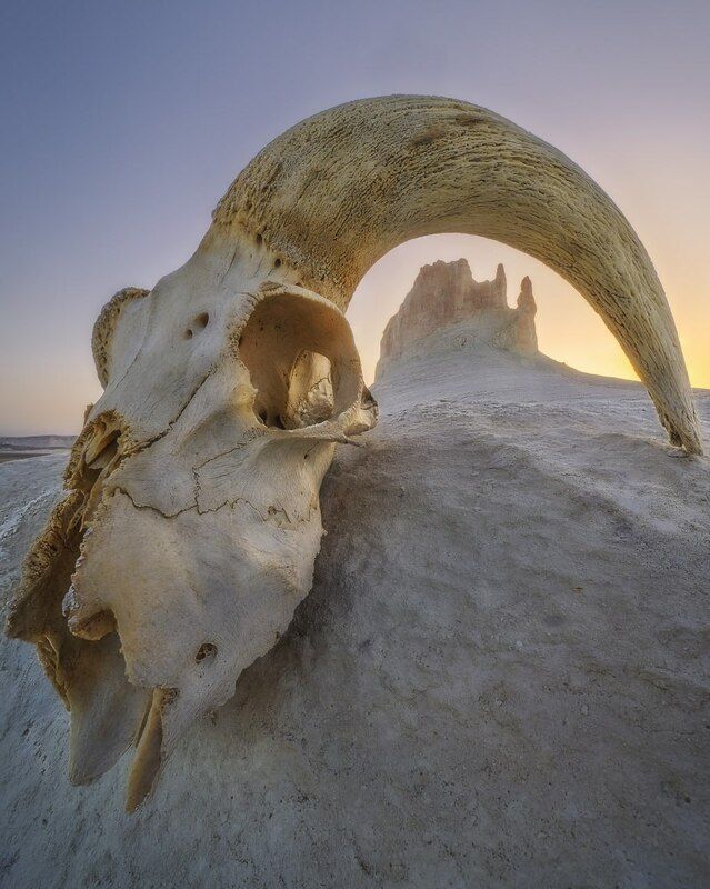 Босжираphoto preview