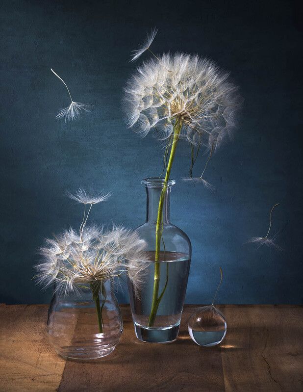 Натюрморт с козлобородникомphoto preview