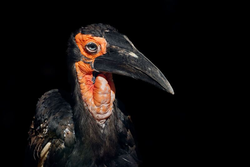 *** фото превью