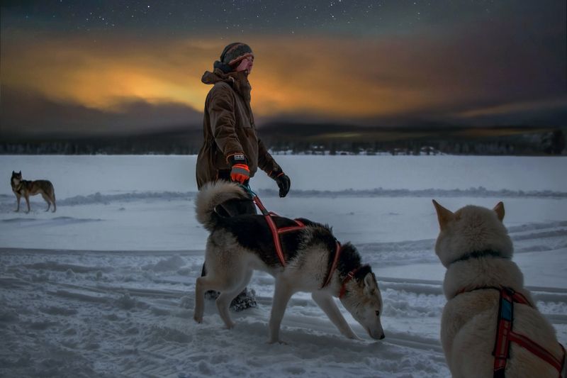 Дама с собачкойphoto preview