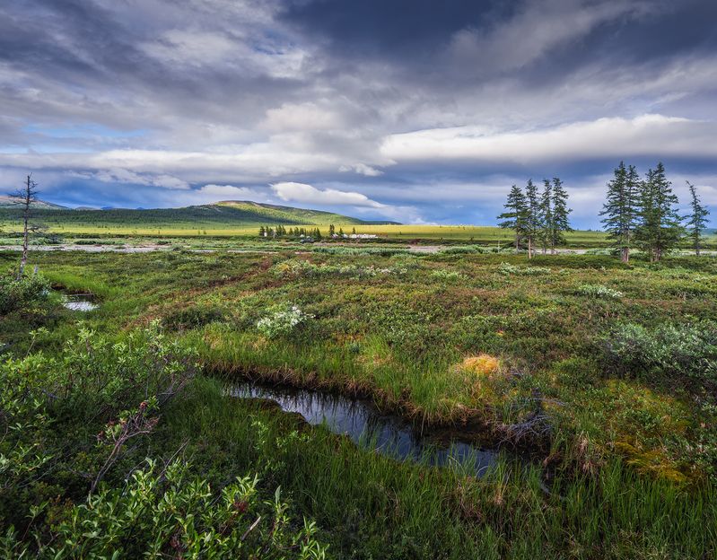 Чукотка 2025 фото превью