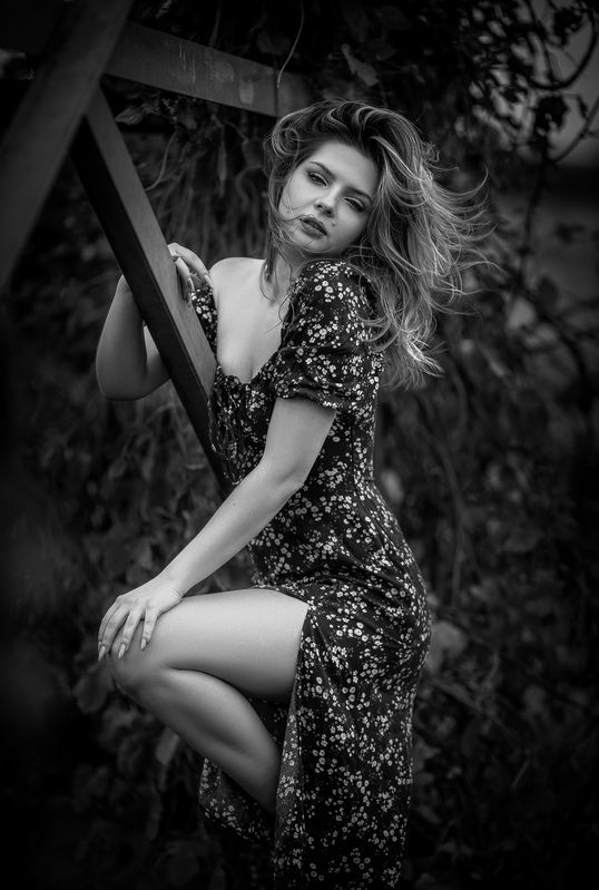 Лераphoto preview