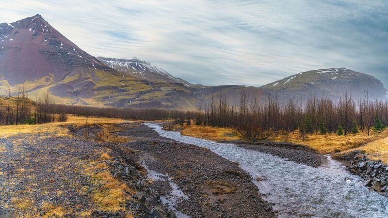 Мокрое утро фото превью