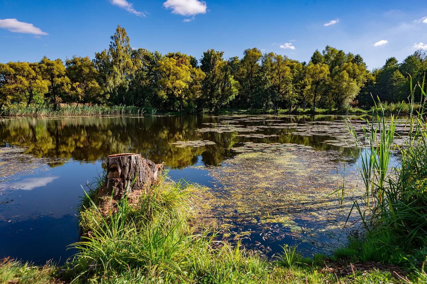 , Владимир Ноздрачев