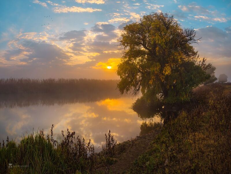 астраханская область, река, вода, волга, заповедник, астраханский государственный биосферный заповедник, осень, солнце, речное, днём, облака, закат, рассвет, туман, ива, дерево, отражение, осенний, Гармония осени на Волгеphoto preview