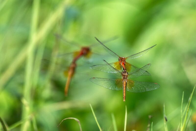 Синхронизация фото превью