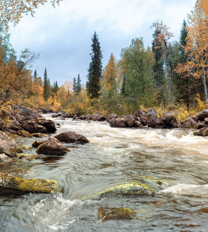 мурманская обл. р.шовна р.Шовнаphoto preview