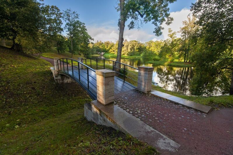 После дождичкаphoto preview