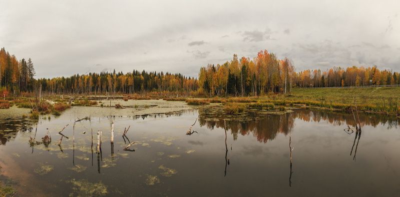 Урал, осень.photo preview
