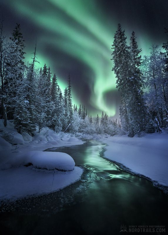 север, кольский полуостров, сияние, северное сияние, полярное сияние, ночь, река, зима Классические изгибы Авроры над Кольской речкойphoto preview