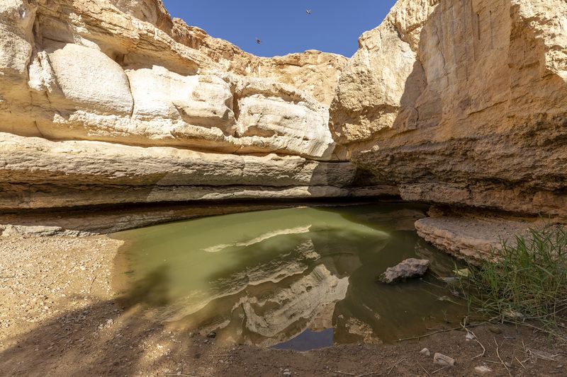 desert, landscape, nature, travel desert view, 3 фото превью