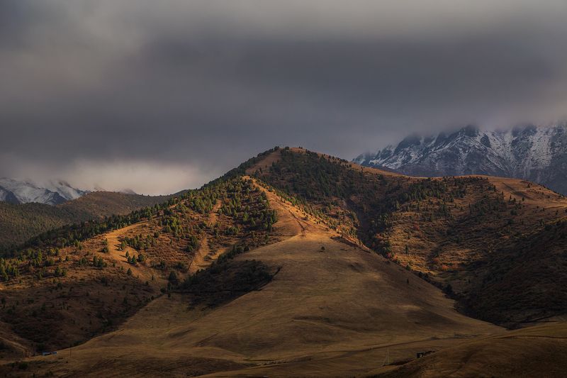 кыргызстан, ала-арча Палитра сентябряphoto preview