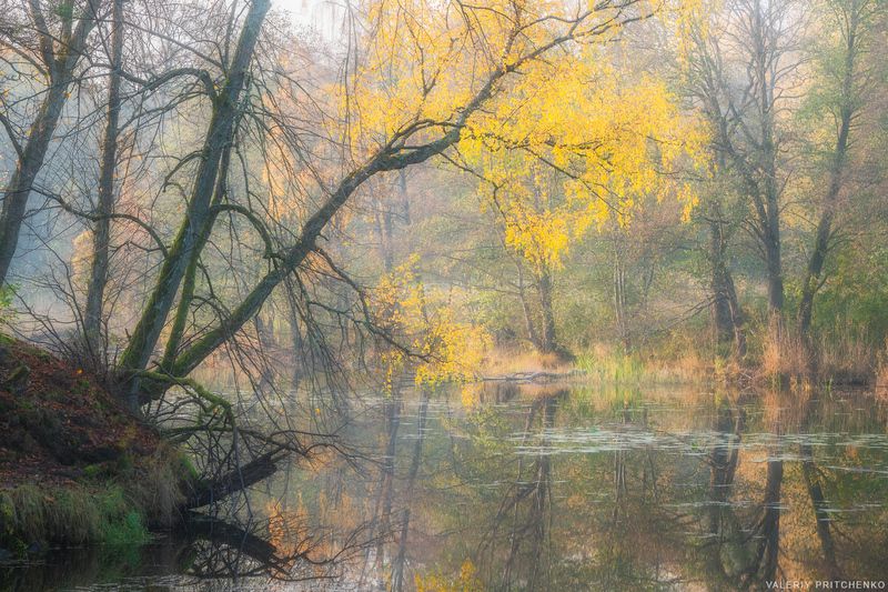 оень, пейзаж, природа, озеро, autumn, landscape, nature photo preview