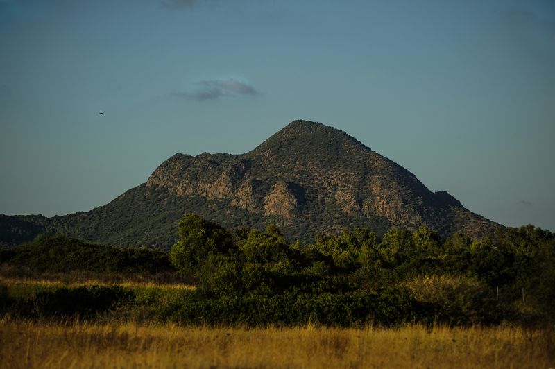 Last dayphoto preview