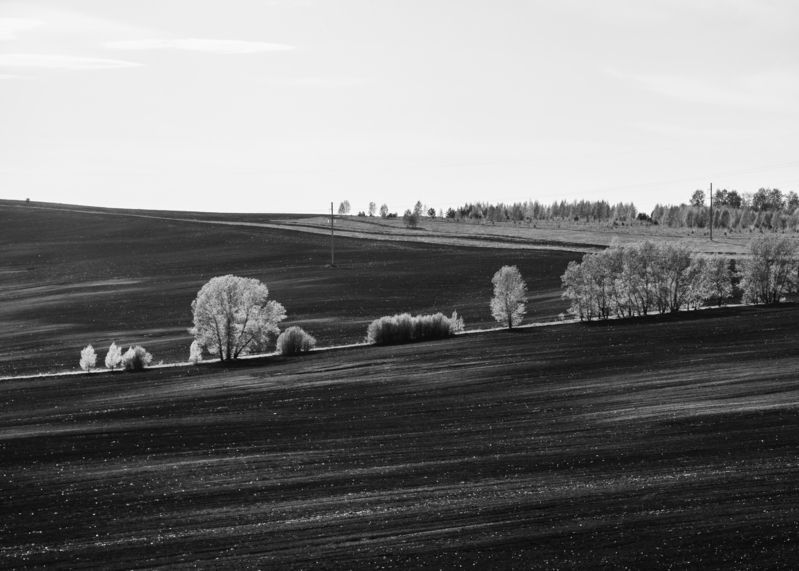 Поля в Хакисииphoto preview