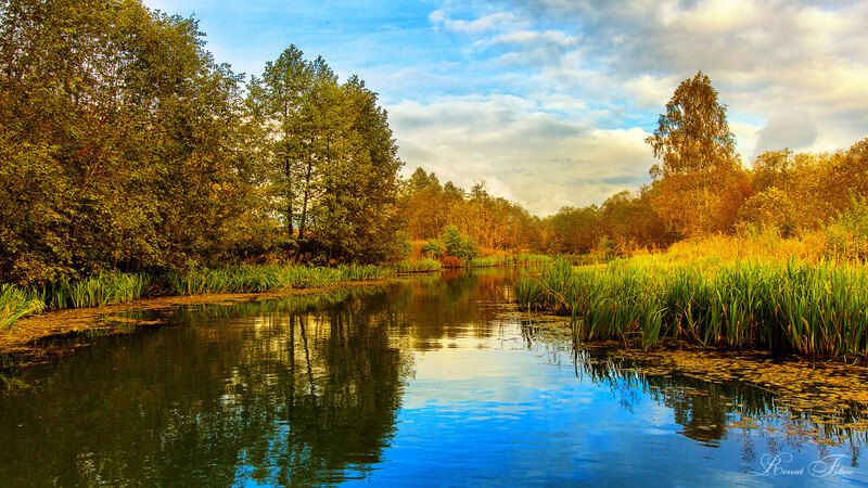 Костромской край: на водеphoto preview