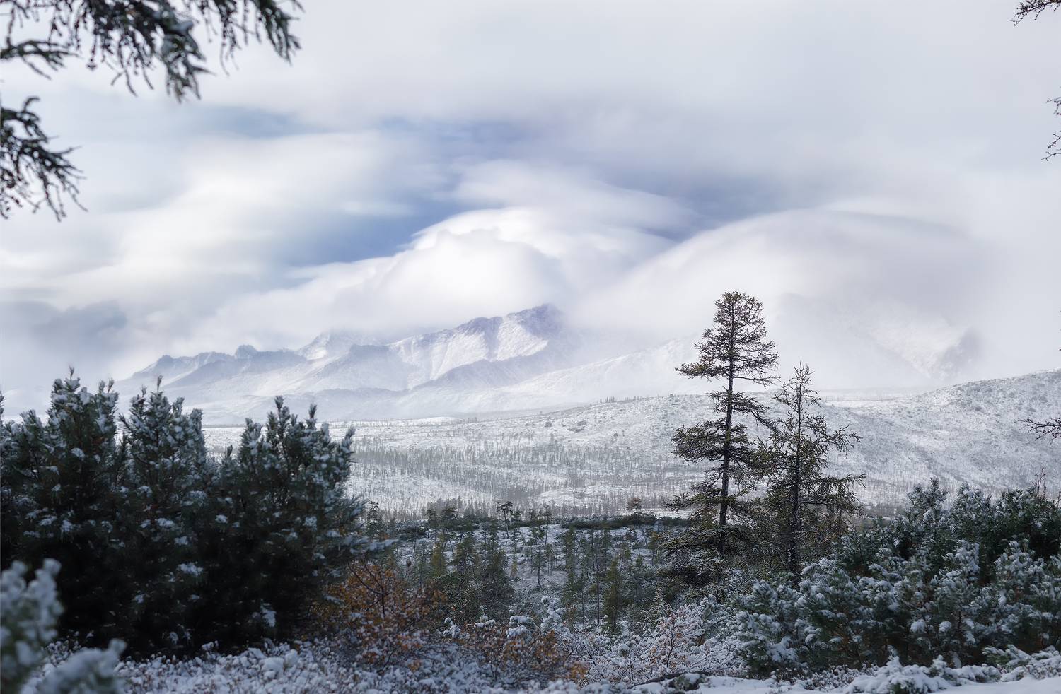 , Владимир Кочкин