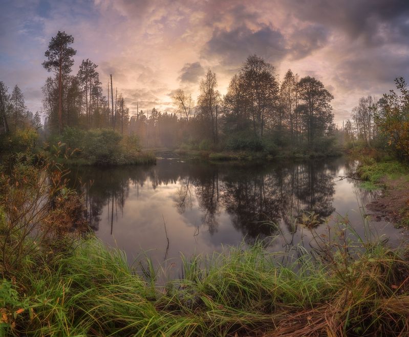 ленобласть, лес, речка, закат, осень ***photo preview