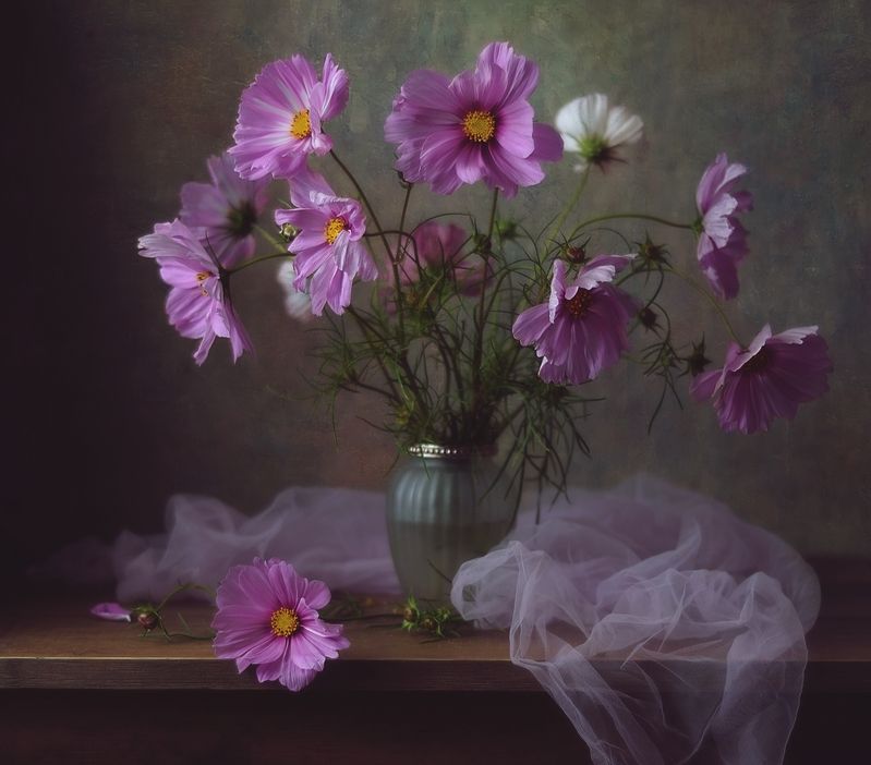 натюрморт,цветы,осень,космея космеи...photo preview