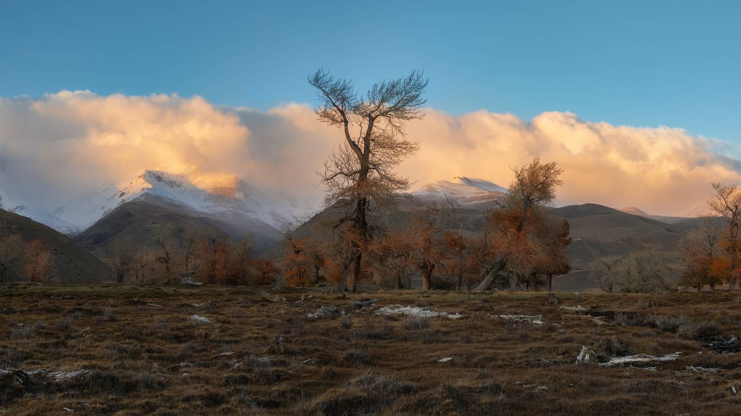 Вечереет. Алтай 2024.. Автор: Мозжухин Максим , Мозжухин Максим