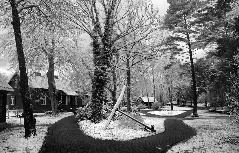 якорьphoto preview