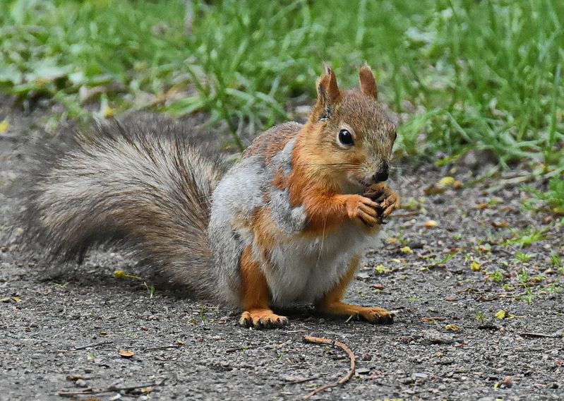 Весна пришлаphoto preview