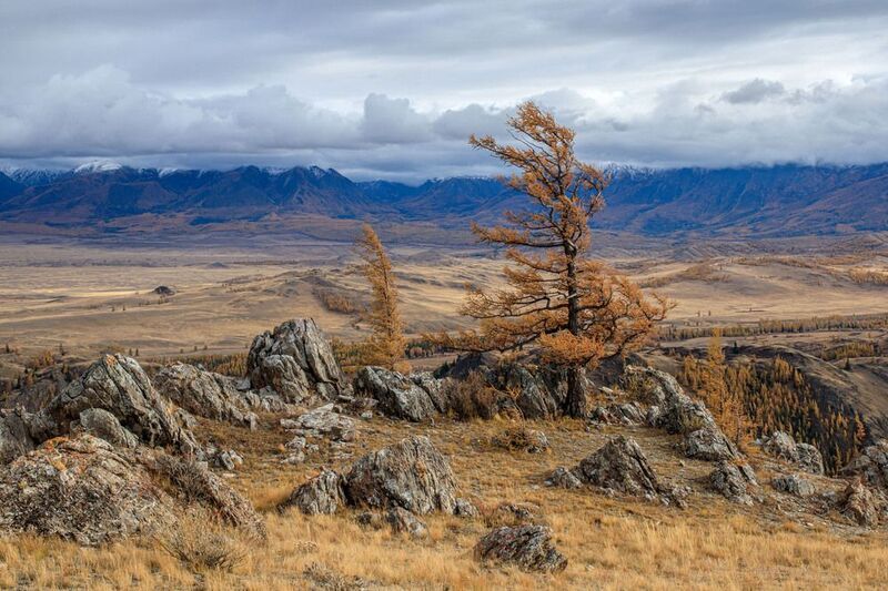алтай Ветер.Алтайphoto preview