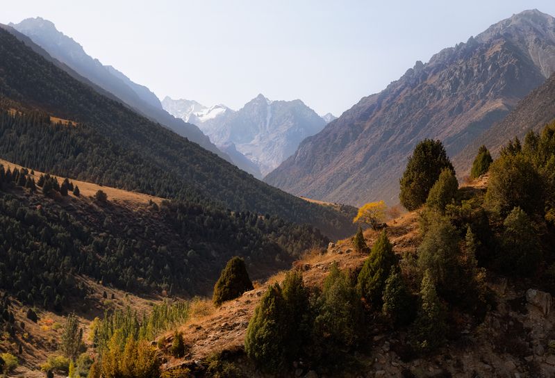 кыргызстан, ала-арча Краски Ала-Арчиphoto preview