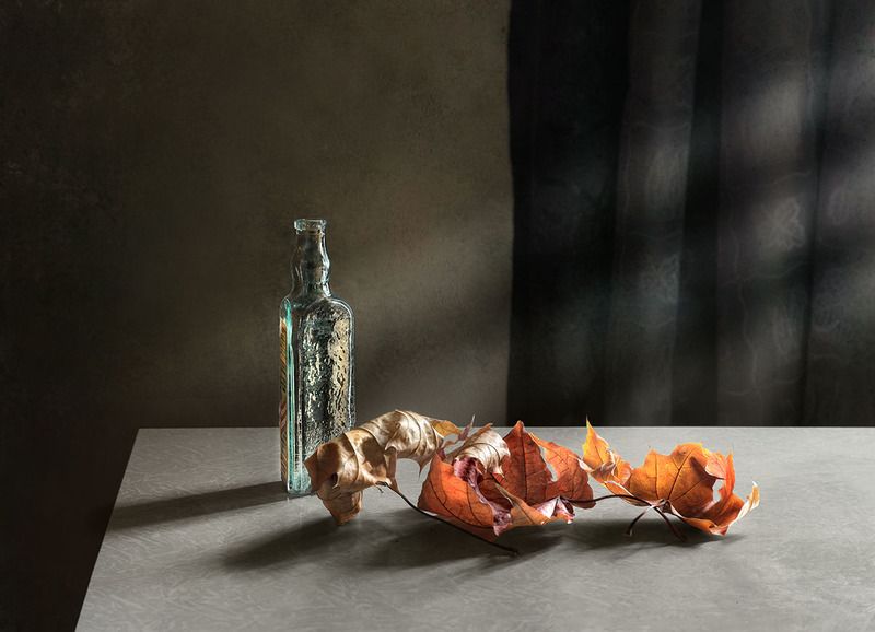 осенний свет ... фото превью