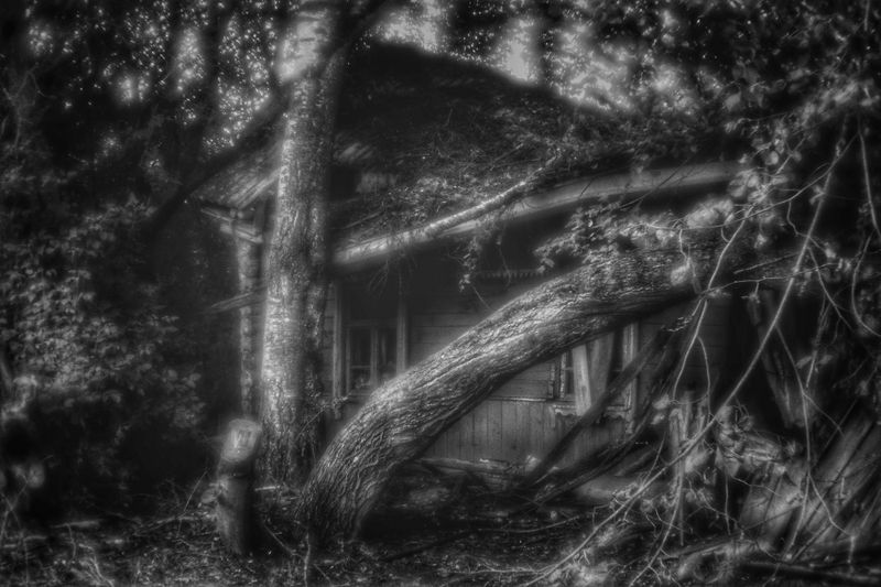 Поглощениеphoto preview