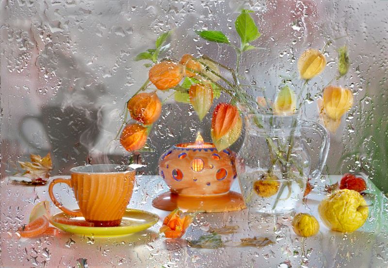 физалис, чашка, яблоко, айва, натюрморт, осень Осенний физалисphoto preview