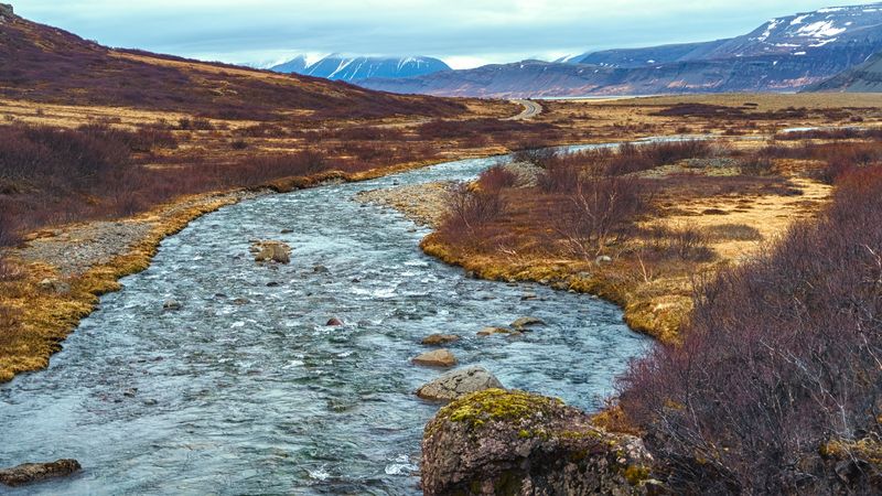 Вид фото превью