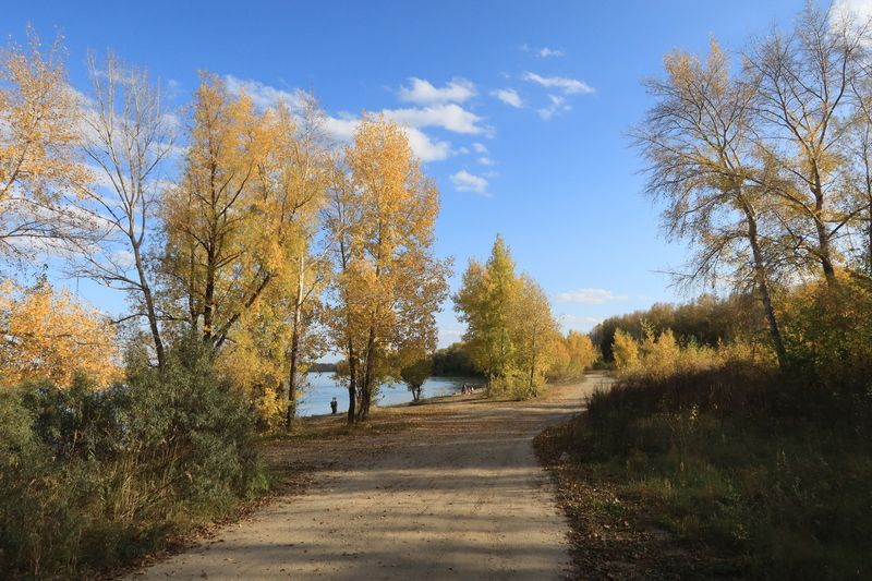 дорога,река,осень,деревья Дорога вдоль рекиphoto preview