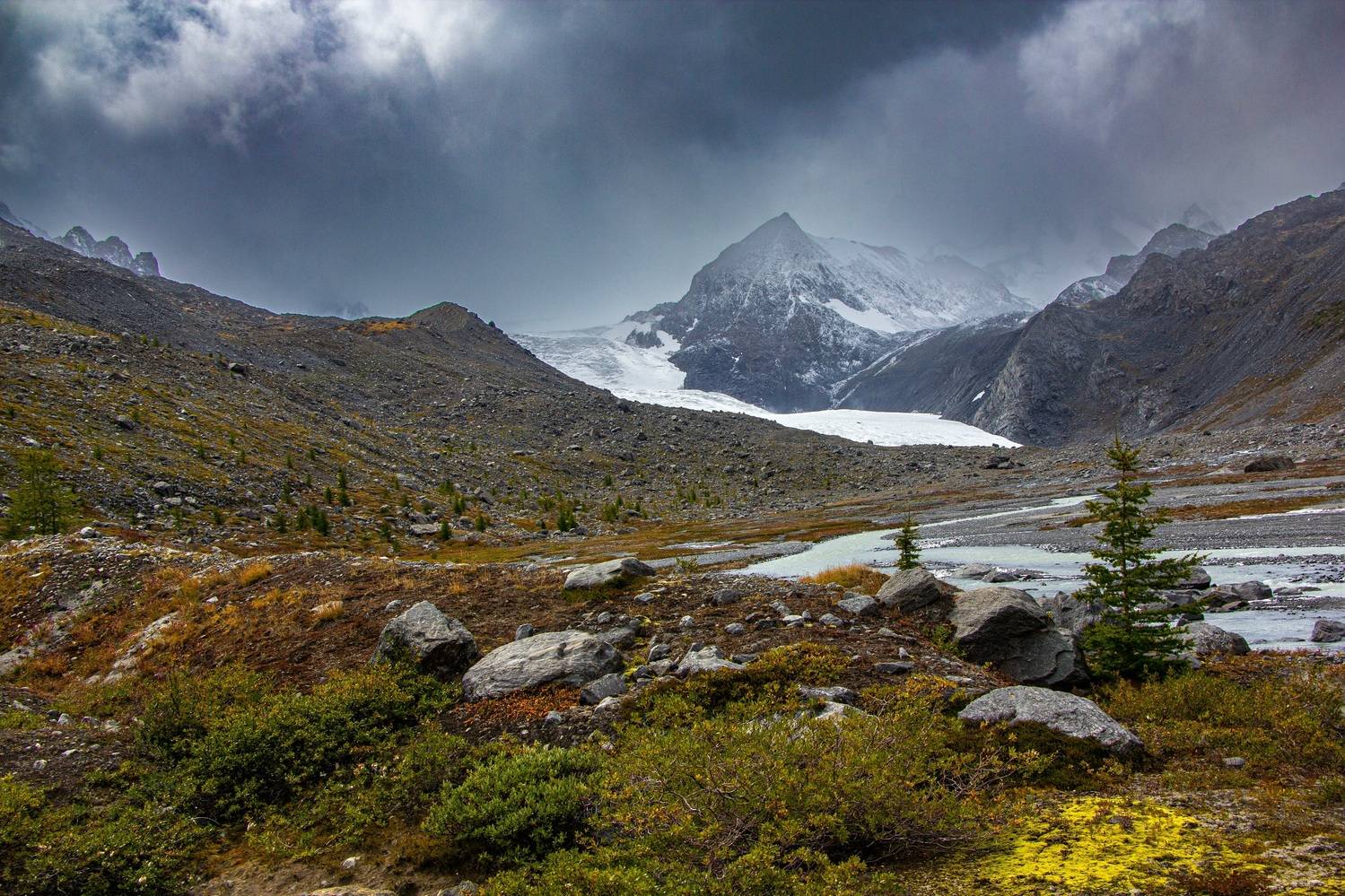 , Владимир Каверин