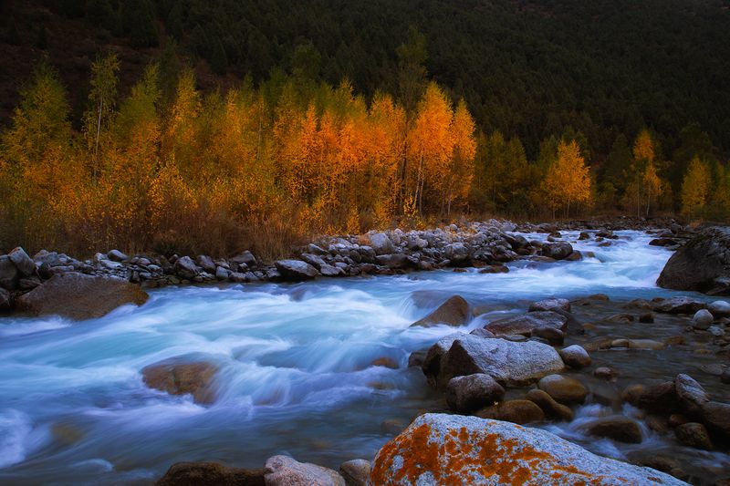 кыргызстан, ала-арча Осенний сонphoto preview