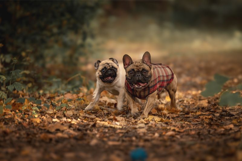 Друзьяphoto preview