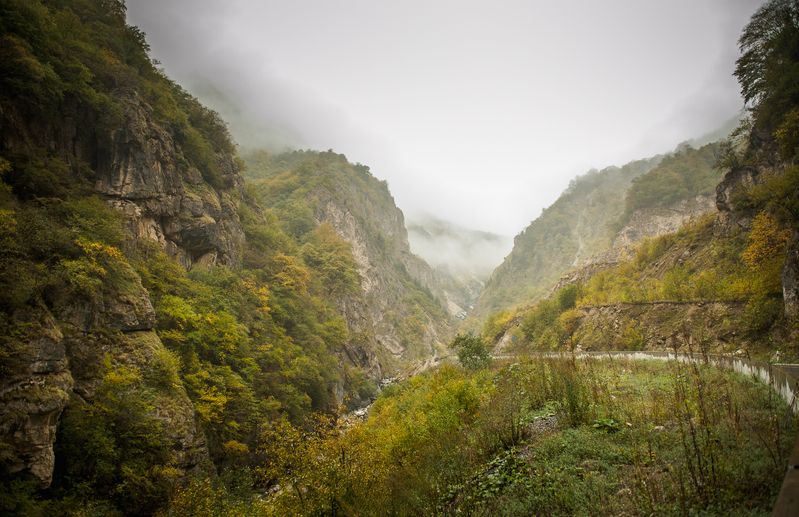 Сентябрьские дниphoto preview