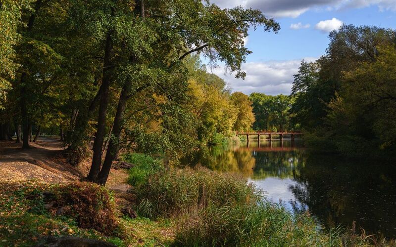 Осеньphoto preview