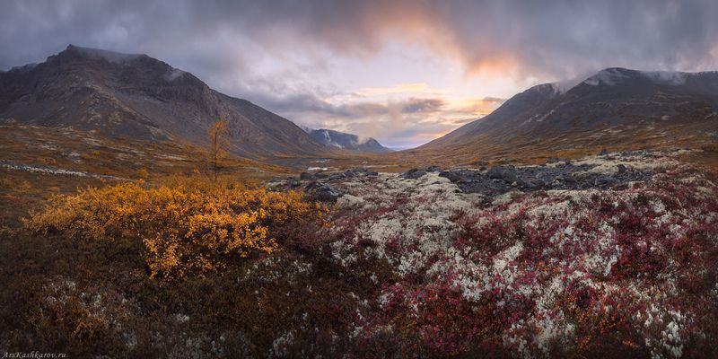 хибины, кольский, тундра, малая белая, долина, горы, мурманская область, арктика Хибинские тундрыphoto preview