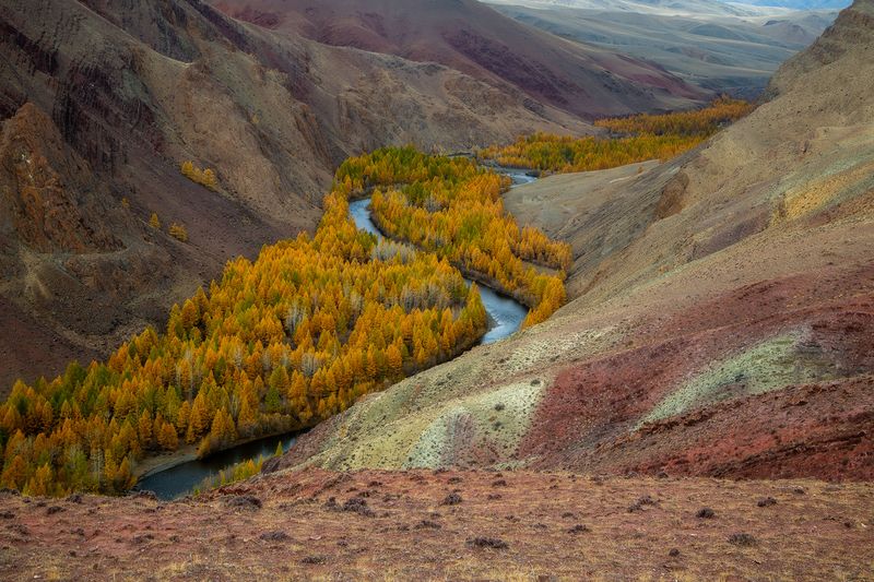 Ущелье р. Кызыл-Шинphoto preview