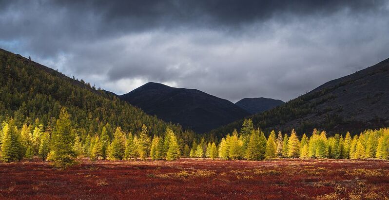 Чукотка 2025 фото превью