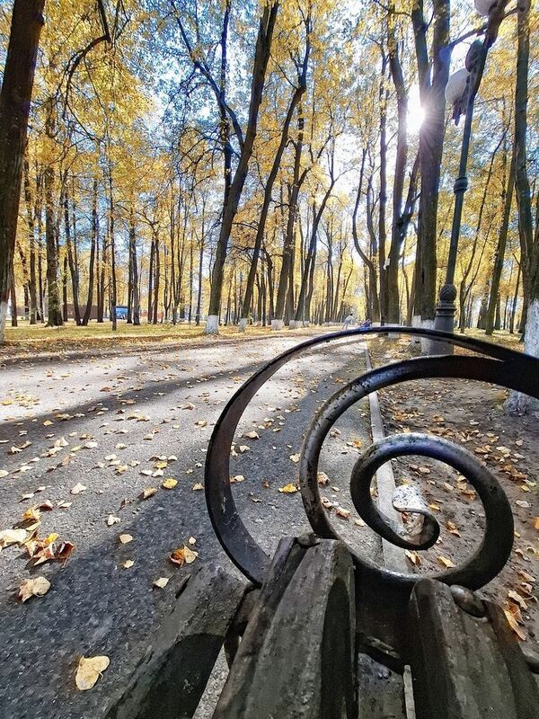 Прогулки по осеннему парку...photo preview