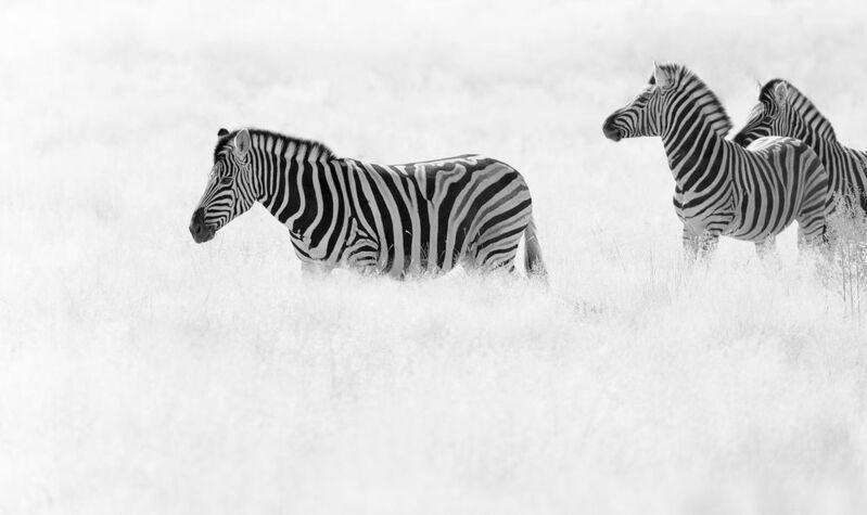 Намибийские истории...photo preview