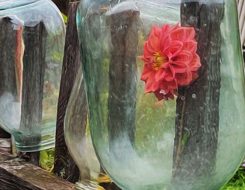 Осенний сюрприз.photo preview