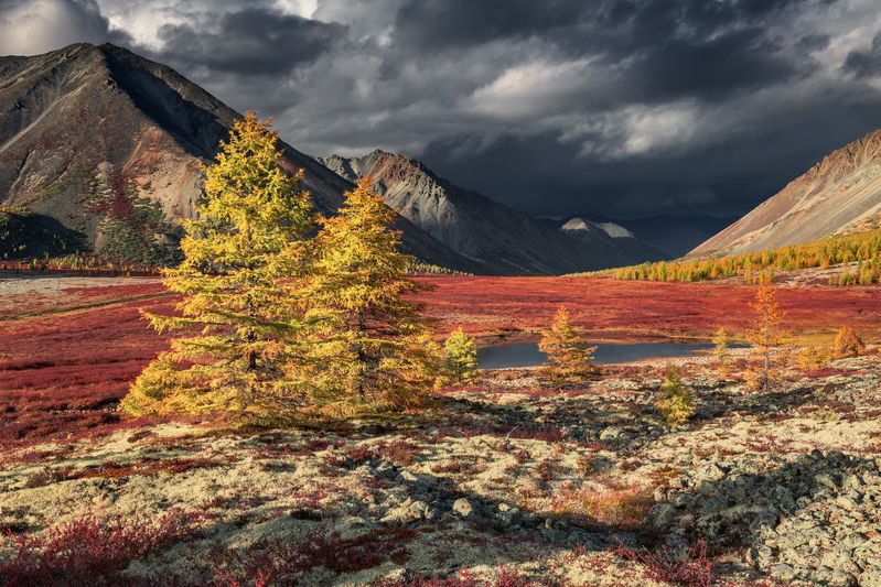 Погожий денёк... photo preview